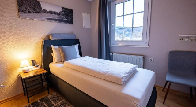 Одноместный номер Standard Hotel Im Fronhof