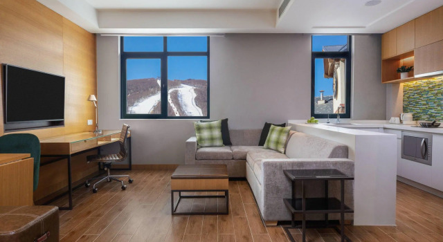 Suite doppia Executive 1 camera da letto Element Chongli