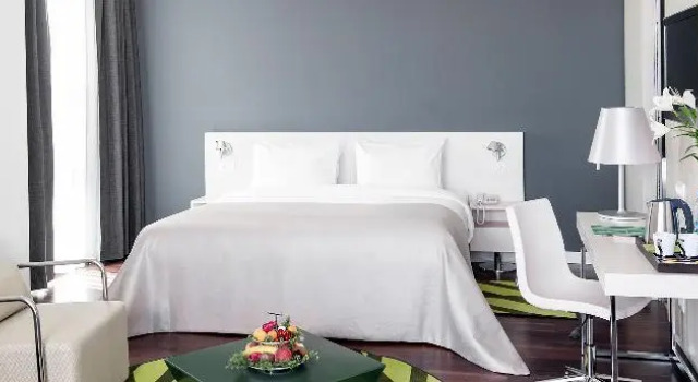 Exécutive simple suite junior Workinn Hotel