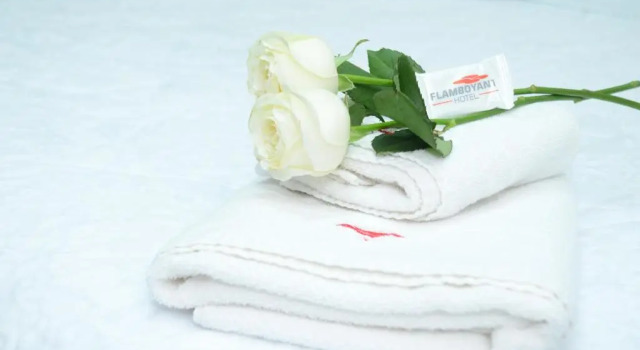 Номер Standard Hotel Flamboyant