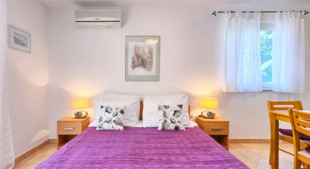 Двухместная студия Standard Franulovic Apartments