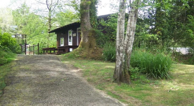 Бунгало Honeysuckle Lodge set in a Beautiful 24 acre Woodland Holiday Park
