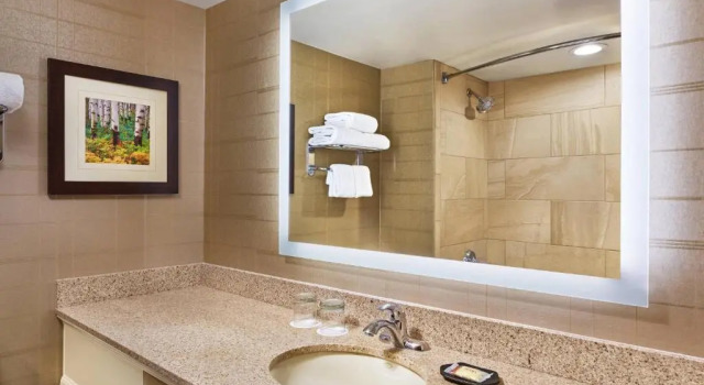 Двухместный номер Standard Sheraton Denver West Hotel