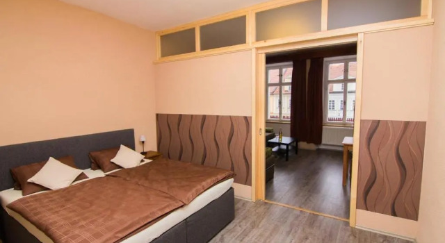 Апартаменты Hotel Sokolský Dům