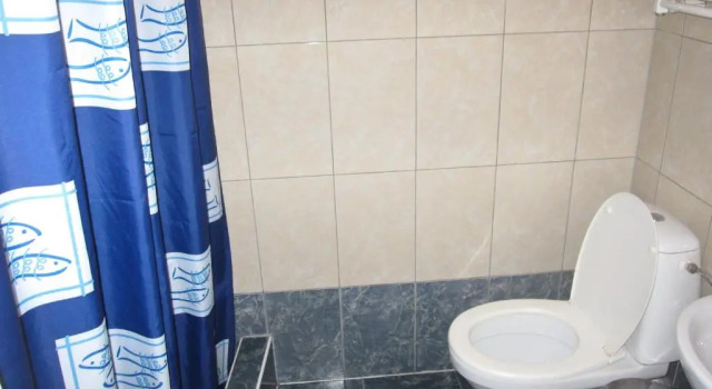 Номер Standard Hotel Haga