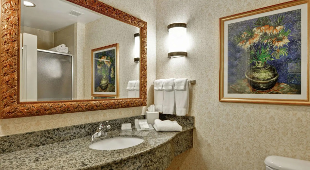 Двухместный номер Standard Hilton Garden Inn Amarillo