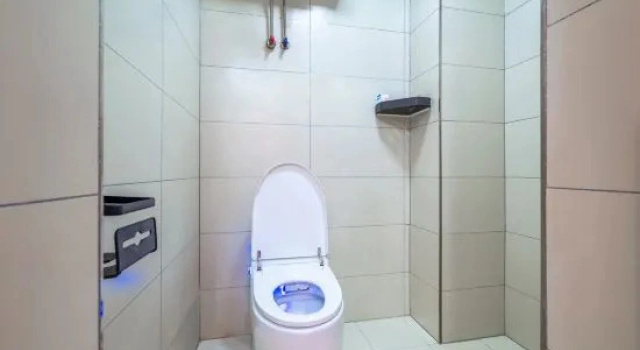 Люкс Deluxe Red Willow Flower ·Terrace Garden Homestay
