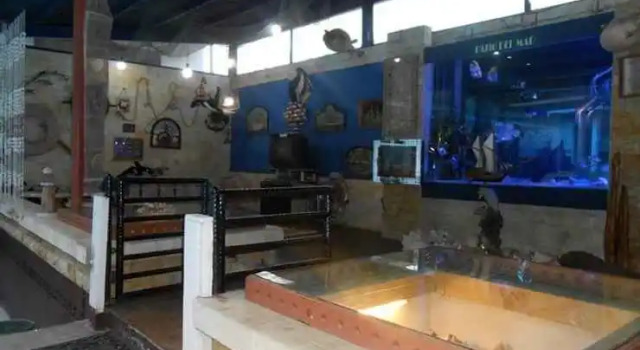 Buena Vista Boutique Hotel, Book Boutique 3-Star Hotels in Cisarua, 3*