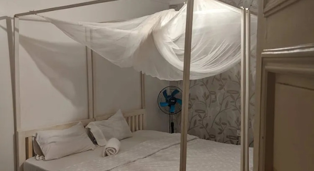 Двухместный номер Comfort African Jungles campsites and Lodges