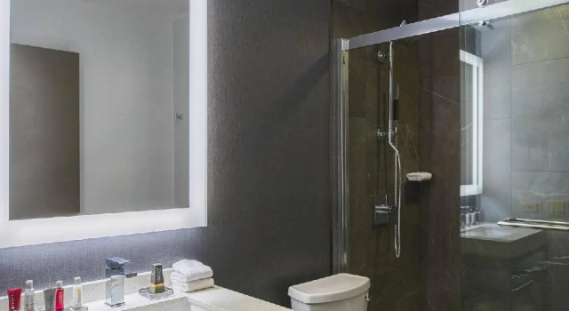 Двухместный номер Standard Courtyard by Marriott Chicago at Medical District-UIC
