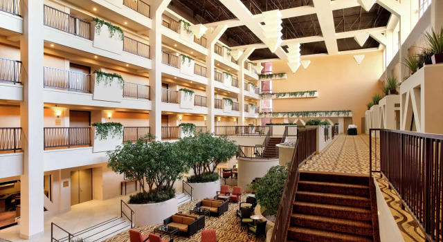 Hilton Stockton