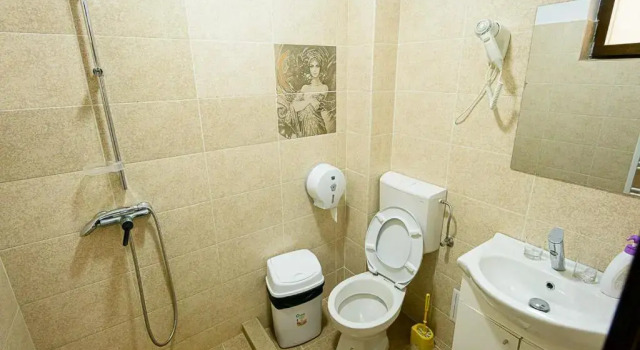 Двухместный номер Standard Casa Domneasca Riana