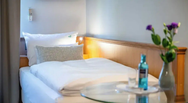 Номер Classic Insel Hotel Bonn - Superior