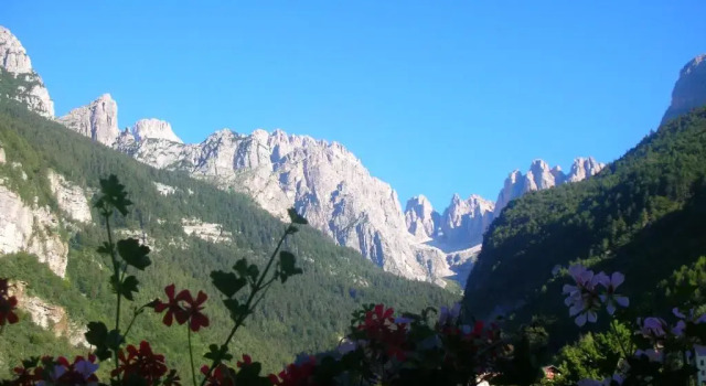 Номер Standard Garnì Lago Alpino