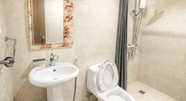 Люкс Deluxe OYO 1199 Valentine Hotel