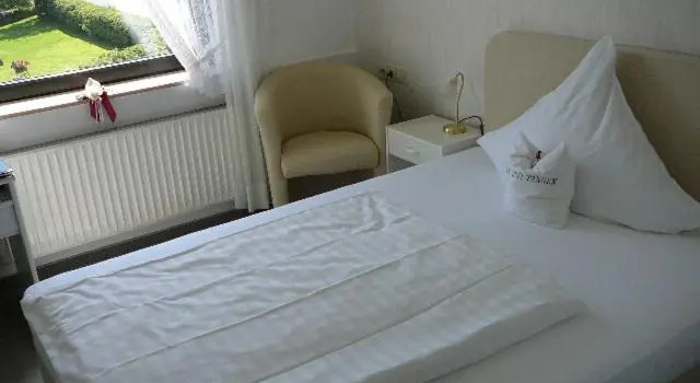 Номер Standard Haus Drei Tannen