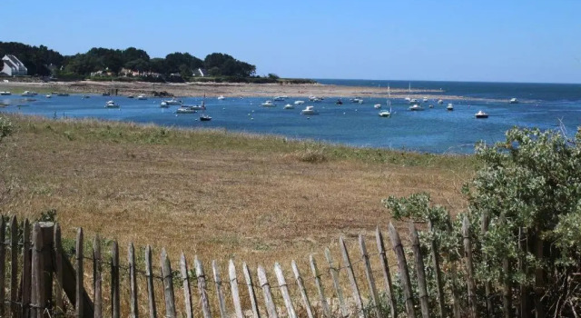 La Marinière