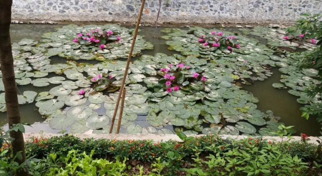 Номер Standard Quoc Khanh Bamboo homestay