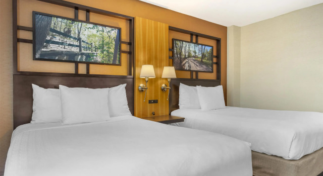 Четырёхместный номер Standard Best Western Queens Gold Coast