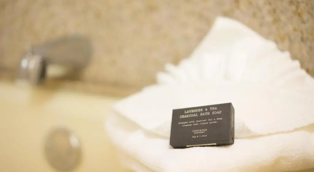 Номер Standard Oakland Airport Executive Hotel