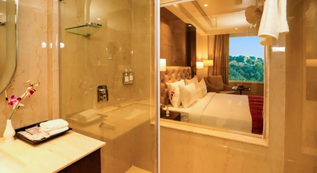 Номер Superior Regenta Place Jhansi by Royal Orchid Hotels Limited