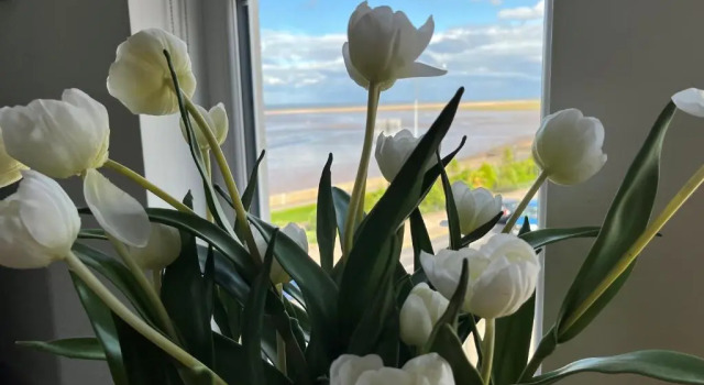 Апартаменты Seafront Luxury Apartment