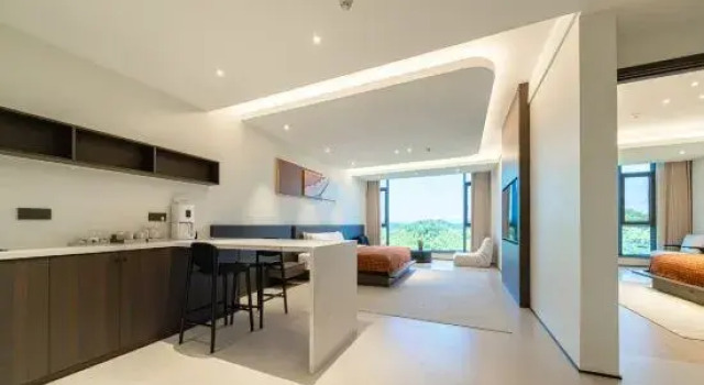 Люкс с 2 комнатами Ginlan Jia Resort Anji Zhejiang