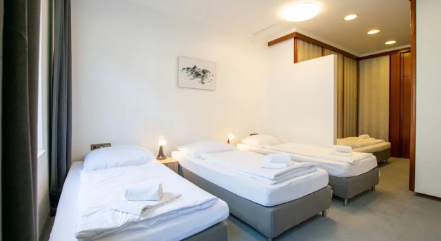 Апартаменты Comfort с 2 комнатами с видом на сад Central City Villa