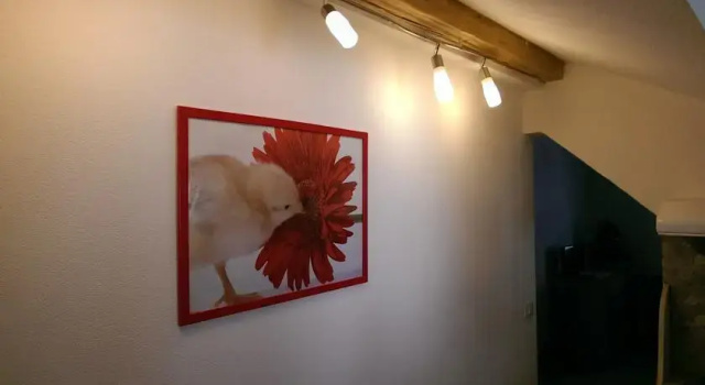 Il Piccolo Nido, Réserver Appartement Varena Cavalese