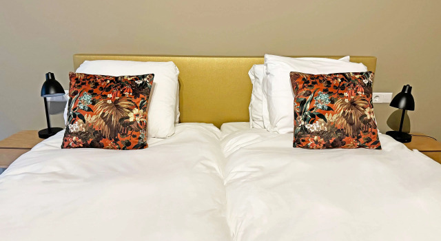 Двухместный номер Comfort Hotel Spaander