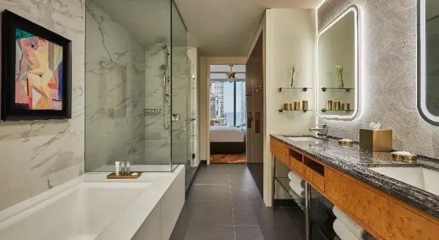 Номер Standard с видом на озеро Viceroy Chicago