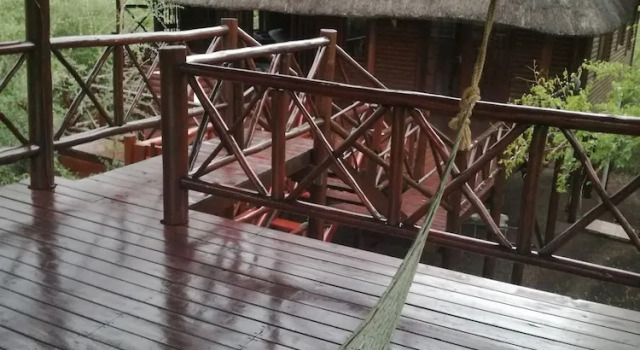 Коттедж с 3 комнатами с видом на сад Lion Tree Bush Lodge