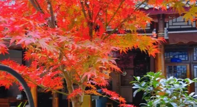 Oude·Hot Spring Private Hot Spring B&B (Chongzhou Street Ancient Town Branch), Boek Bed and Breakfast Hotels in Chengdu met parkeren, Parkeren