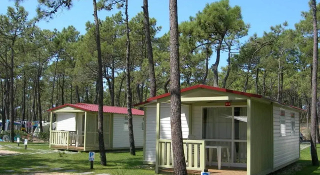 Parque De Campismo Orbitur Gala, Rezervovat Kemp Kempování a glamping v Beira Alta, Kemp