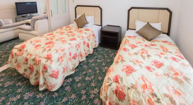 Двухместный номер Standard Spa Resort LiVEMAX