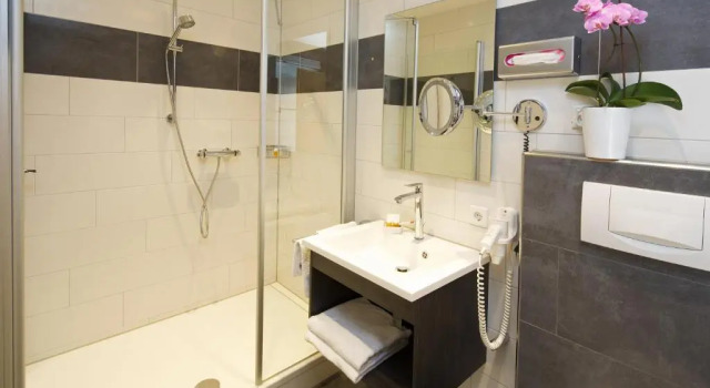Двухместный номер Standard Hotel Warteck