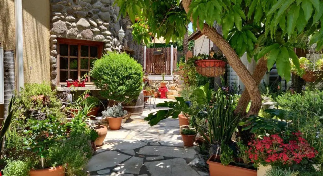 Люкс Luxury Out of Africa Resort