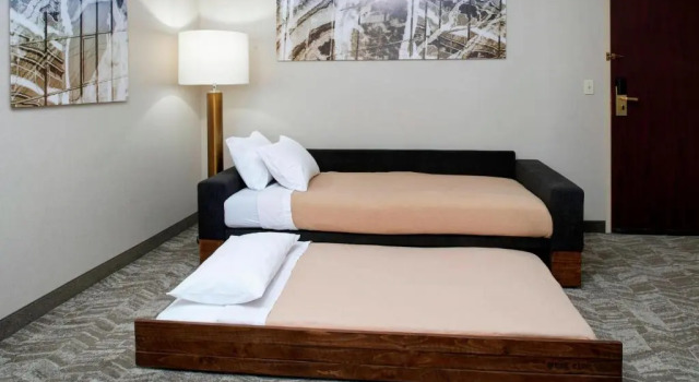 Студия Springhill Suites by Marriott Frankenmuth