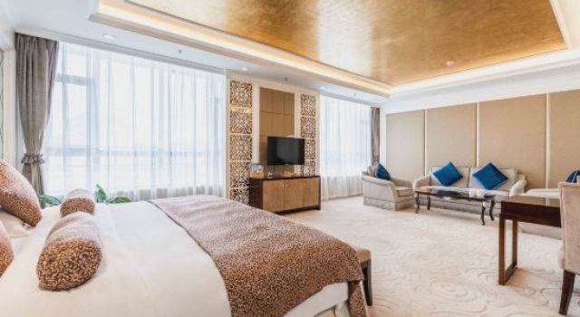 Люкс Business Western Airport Aviation Hotel
