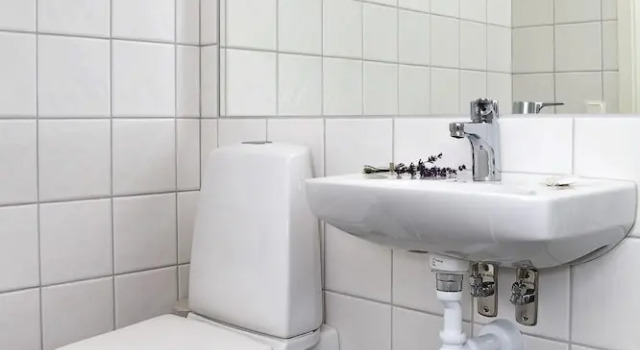 Двухместный номер Standard Sahlströmsgården