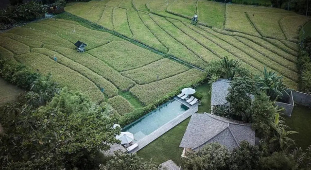 Люкс Executive Villa Artis