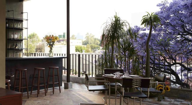 Hotel Dama, Book Hotel Mexico City Mexico DF, near Torre Mayor