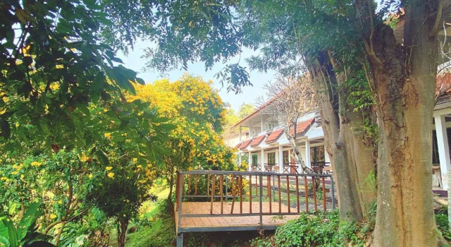 Номер Economy Duenshine Resort