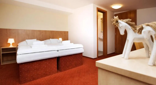 Двухместный номер Standard с балконом и с красивым видом из окна Hotel Panska Licha