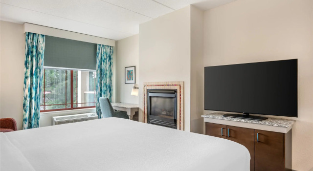 Двухместный номер Deluxe Hilton Garden Inn Wisconsin Dells