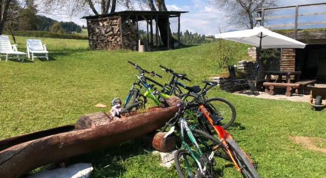 Шале Chalet Maso Pino