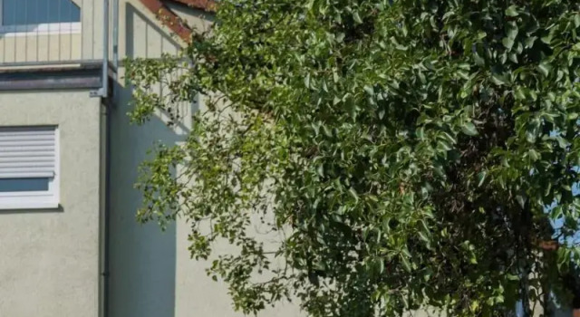 Hotel am Wasen, Забронировать Отель Фрайберг-ам-Неккар 
