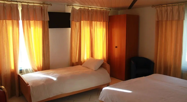Трёхместный номер Standard Hotel Langenthal