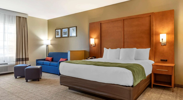 Двухместный номер Standard Comfort Inn & Suites Orangeburg