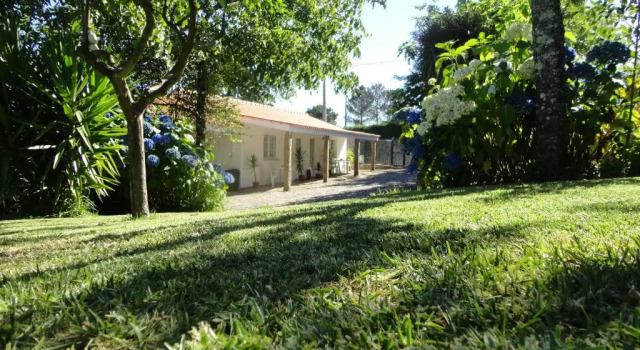 Студия Casa Boavista